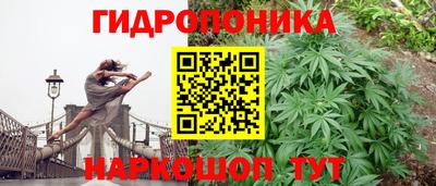 мдпв Ипатово