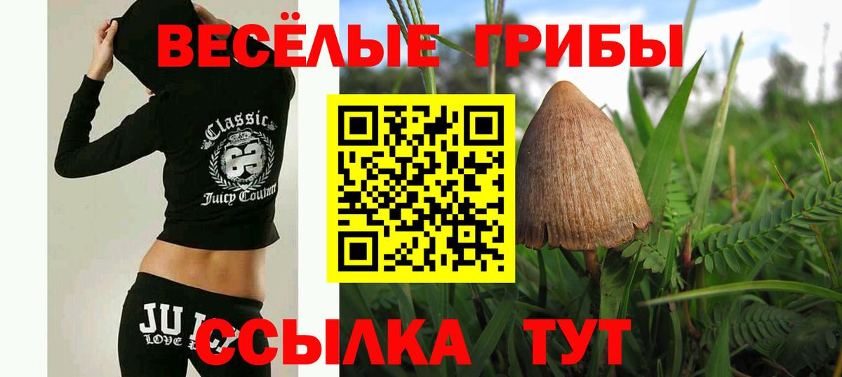 Псилоцибиновые грибы GOLDEN TEACHER  купить наркотики сайты  Кунгур  Вход с VPN 