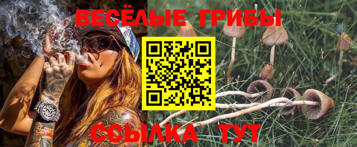 Галлюциногенные грибы Magic Shrooms Кунгур